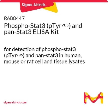 Phospho-Stat3 (pTyr⁷⁰⁵) and pan-Stat3 ELISA Kit，1KIT，RAB0447-1KT，Sigma
