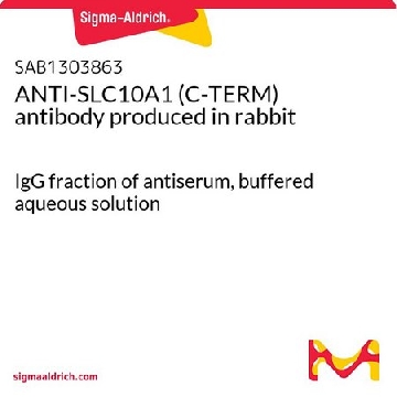 ANTI-SLC10A1 (C-TERM) antibody produced in rabbit，400UL，SAB1303863-400UL，Sigma