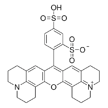 磺酰罗丹明 101，50MG，S7635-50MG，Sigma