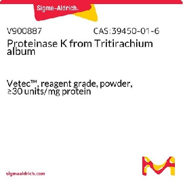 蛋白酶 K 来源于林伯氏白色念球菌，100MG，V900887-100MG，Sigma