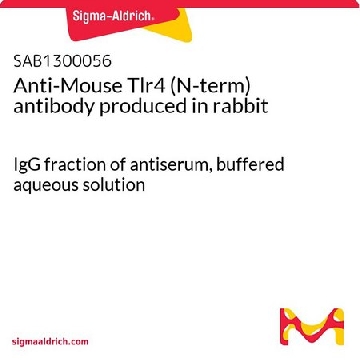 Anti-Mouse Tlr4 (N-term) antibody produced in rabbit，100UG，SAB1300056-100UG，Sigma