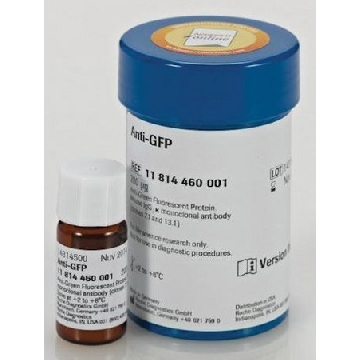 抗-GFP，200UG，11814460001，Roche