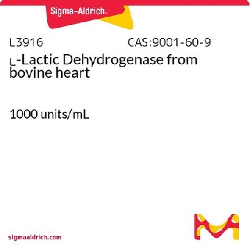 ʟ-乳酸脱氢酶 来源于牛心脏，2.5ML，L3916-2.5ML，Sigma