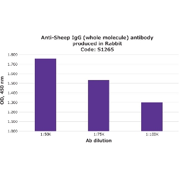 Anti-Sheep IgG (whole molecule) antibody produced in rabbit，2ML，S1265-2ML，Sigma