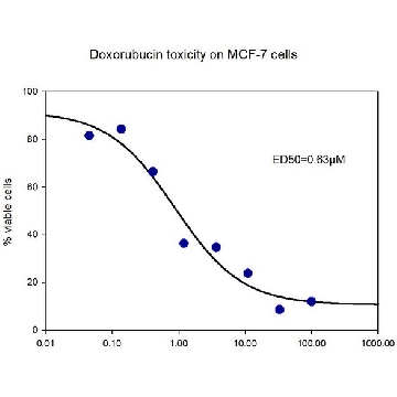Doxorubicin Ready-Made，1ML，D5220-1ML，Sigma