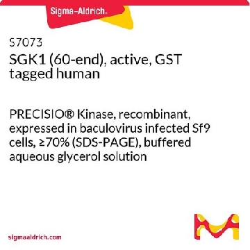 SGK1（60-端），活性，GST 标记 人，10UG，S7073-10UG，Sigma