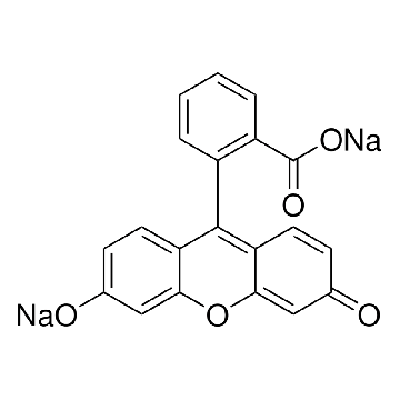 荧光素 钠盐，100G，F6377-100G，Sigma