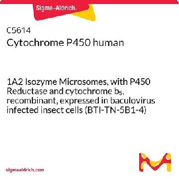 细胞色素P450 人，1VIAL，C5614-1VL，Sigma