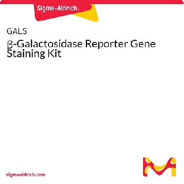 β-半乳糖苷酶报告基因染色试剂盒，1KIT，GALS-1KT，Sigma