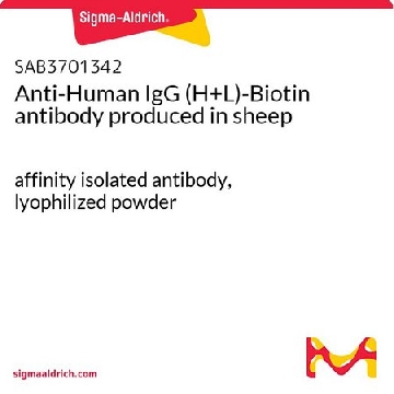 Anti-Human IgG (H+L)-Biotin antibody produced in sheep，2MG，SAB3701342-2MG，Sigma