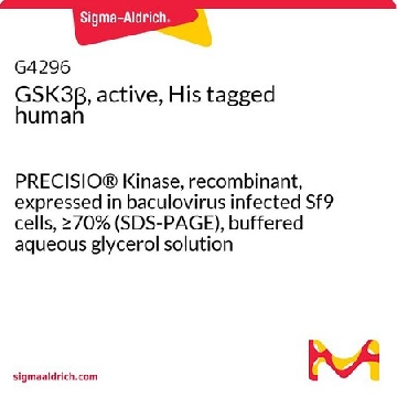 GSK3β活性、His 标记 人，10UG，G4296-10UG，Sigma