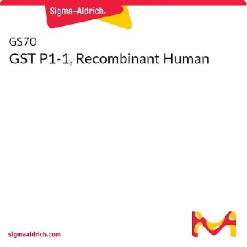 GST P1-1, Recombinant Human，100UG，GS70-100UG，Sigma
