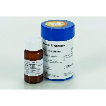 蛋白A琼脂糖，2ML，11719408001，Roche