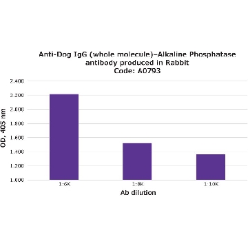 Anti-Dog IgG (whole molecule)–Alkaline Phosphatase antibody produced in rabbit，1ML，A0793-1ML，Sigma