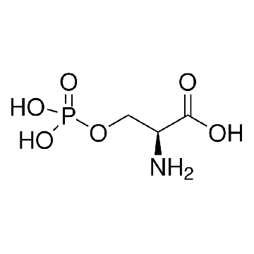 O-磷酸-ʟ-丝氨酸，10MG，P0878-10MG，Sigma
