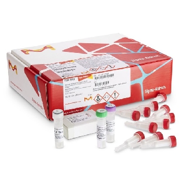 GenElute™-E Single Spin Blood DNA Kit，10REACTIONS，EC100-10RXN，Sigma