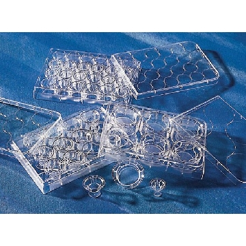 Corning®Transwell®聚酯薄膜细胞培养插件，48EA，CLS3460-48EA，Sigma