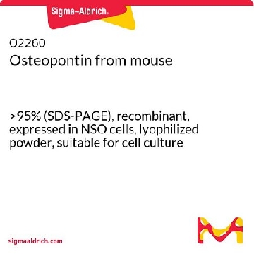 Osteopontin from mouse，50UG，O2260-50UG，Sigma