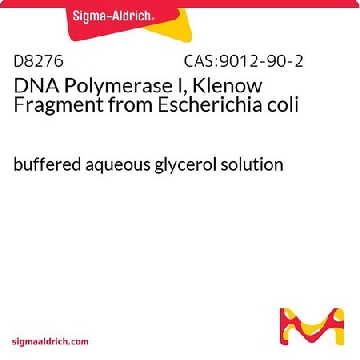 DNA 聚合酶 I, Klenow 片段 来源于大肠杆菌，100UNITS，D8276-100UN，Sigma