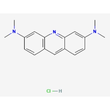 吖啶橙 溶液，10ML，A9231-10ML，Sigma
