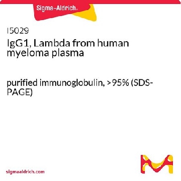 IgG1，Lambda 来源于人类骨髓瘤血浆，1MG，I5029-1MG，Sigma