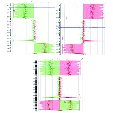 GenomePlex®完整全基因组扩增（WGA）试剂盒，50REACTIONS，WGA2-50RXN，Sigma