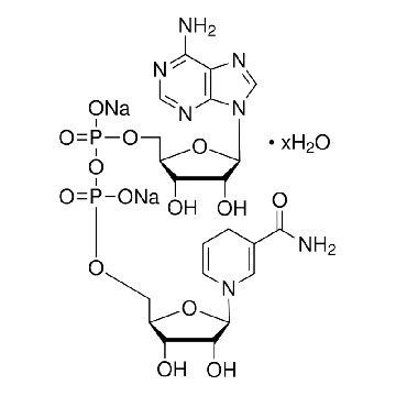 NADH，1G，10128023001，Roche