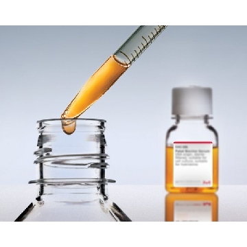 小牛血清，100ML，B7447-100ML，Sigma