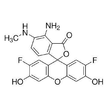 DAF-FM solution，1MG，D2196-1MG，Sigma