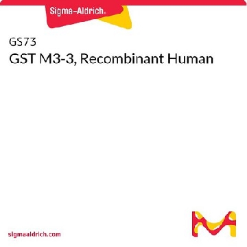 GST M3-3, Recombinant Human，100UG，GS73-100UG，Sigma