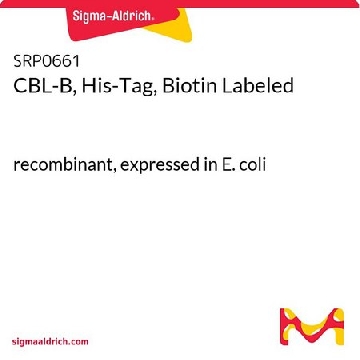CBL-B, His-Tag, Biotin Labeled，50UG，SRP0661-50UG，Sigma