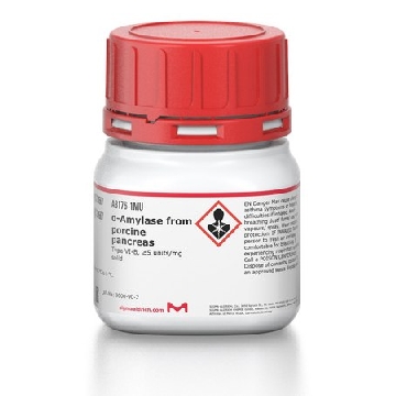 α-淀粉酶 来源于猪胰腺，10000000UNITS，A3176-10MU，Sigma