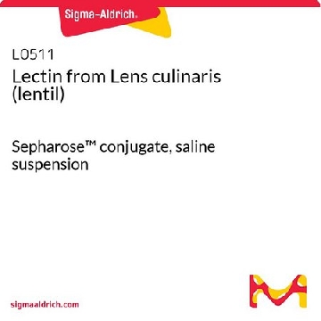 来自  小扁豆  的凝集素（扁豆），5ML，L0511-5ML，Sigma