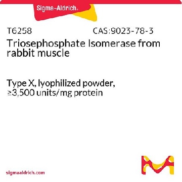 磷酸丙糖异构酶 来源于兔肌肉，1MG，T6258-1MG，Sigma