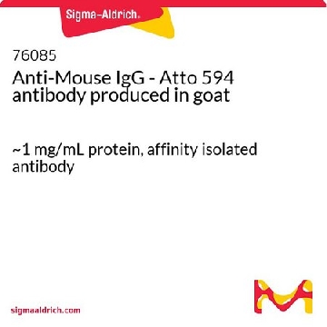Anti-Mouse IgG - Atto 594 antibody produced in goat，1ML，76085-1ML-F，Sigma