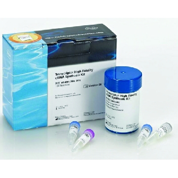 Transcriptor高保真cDNA合成试剂盒，100REACTIONS，5091284001，Roche