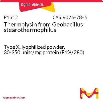 嗜热菌蛋白酶 from Geobacillus stearothermophilus，100MG，P1512-100MG，Sigma