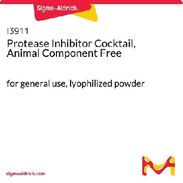 蛋白酶抑制剂混合物，不含动物成分，1PKG，I3911-1BO，Sigma