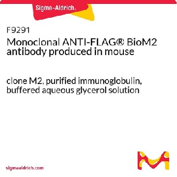 抗FLAG® BioM2单克隆抗体 小鼠抗，1MG，F9291-1MG，Sigma