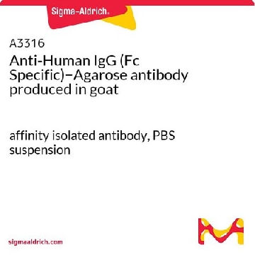 抗-人IgG（Fc特异性）−琼脂糖 山羊抗，2ML，A3316-2ML，Sigma