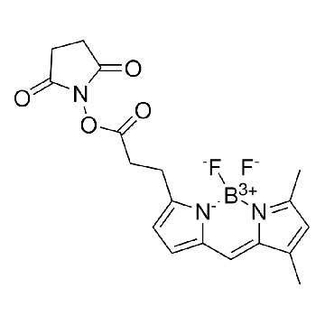 BODIPY FL-NHS ester，5MG，SML3990-5MG，Sigma