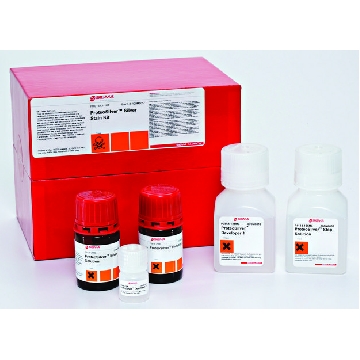 ProteoSilver™ 银染试剂盒，1KIT，PROTSIL1-1KT，Sigma