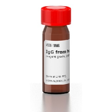 IgG 来源于人类血清，50MG，I4506-50MG，Sigma