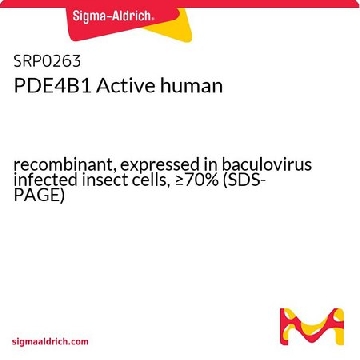 PDE4B1 Active human，10UG，SRP0263-10UG，Sigma