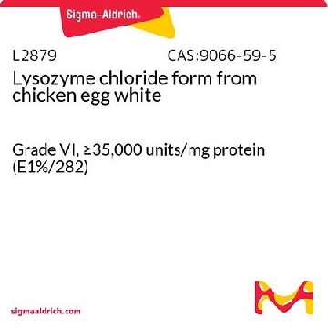 Lysozyme 氯化物形式 来源于鸡蛋白，5G，L2879-5G，Sigma