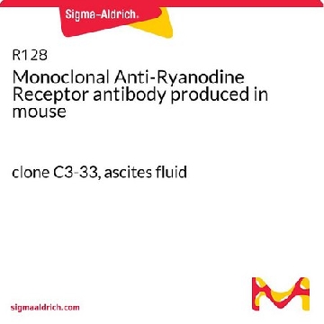 Monoclonal Anti-Ryanodine Receptor antibody produced in mouse，100UG，R128-100UG，Sigma
