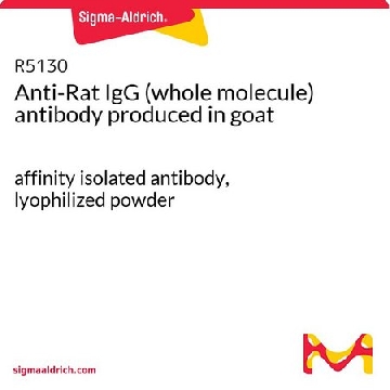 Anti-Rat IgG (whole molecule) antibody produced in goat，5X1MG，R5130-5X1MG，Sigma