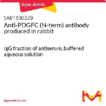 Anti-PDGFC (N-term) antibody produced in rabbit，100UG，SAB1300229-100UG，Sigma