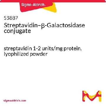 链霉抗生物素蛋白–β-半乳糖苷酶缀合物，0.5MG，S3887-.5MG，Sigma