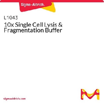 10x单细胞裂解和片段化缓冲液，500REACTIONS，L1043-500RXN，Sigma